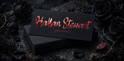 Hallan Stewart Font Poster 3