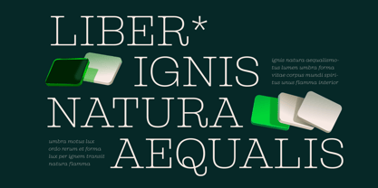 Guka Font Poster 4