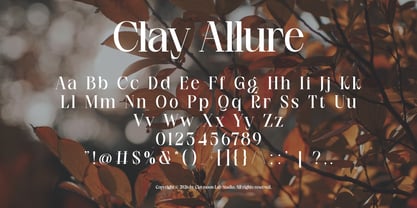 Clay Allure Font Poster 2
