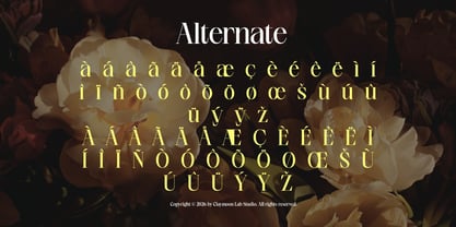 Clay Allure Font Poster 4