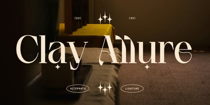 Clay Allure Font Poster 1