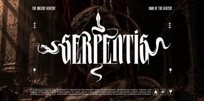 Anakfonta Font Poster 8