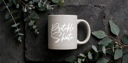 Portable Shinta Font Poster 6