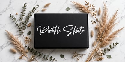 Portable Shinta Font Poster 5