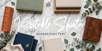 Portable Shinta Font Poster 14