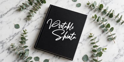 Portable Shinta Font Poster 4