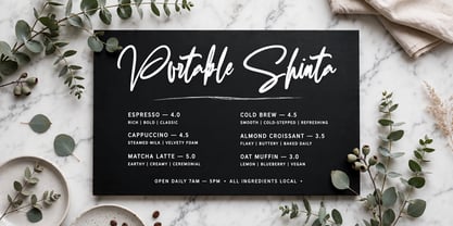 Portable Shinta Font Poster 1