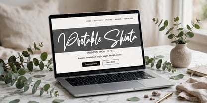 Portable Shinta Font Poster 11