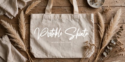 Portable Shinta Font Poster 3