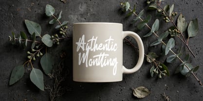 Authentic Montting Font Poster 14