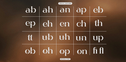 Archela Font Poster 9