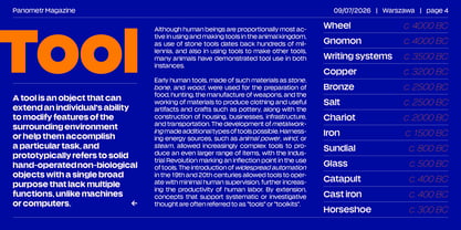 Panometr Sans Font Poster 4