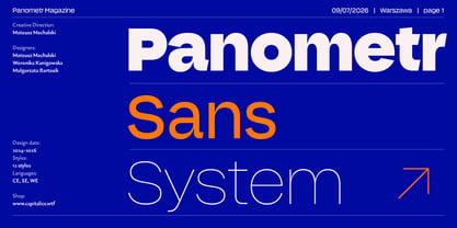 Panometr Sans Font Poster 1