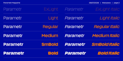 Panometr Sans Font Poster 2