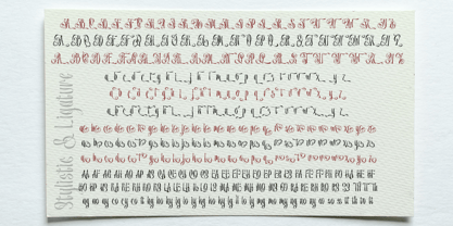 Cenolle Font Poster 9