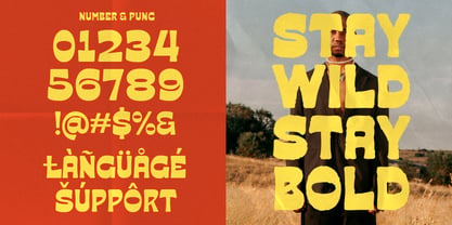 Baquera Font Poster 5