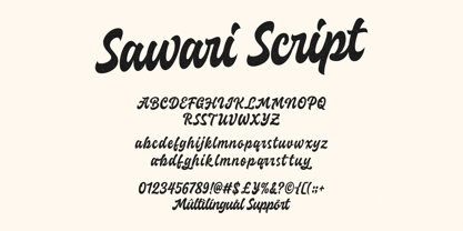 Sawari Script Font Poster 9