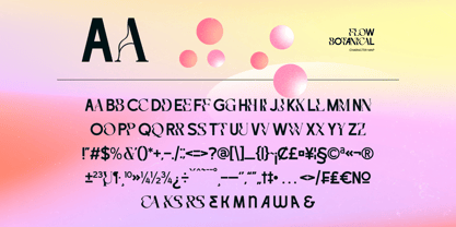 Flow Botanical Font Poster 6