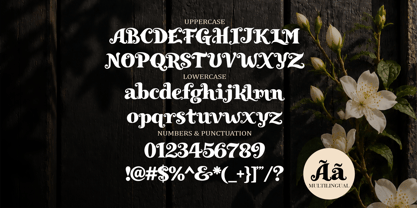 Royal Enigma Font Poster 2