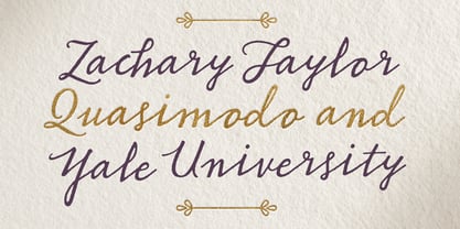 Burquhart Script Font Poster 4