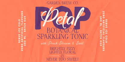 Tendernote Font Poster 9