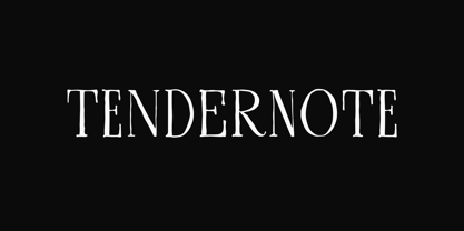 Tendernote Font Poster 1