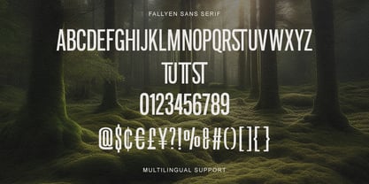 Fallyen Font Poster 7