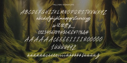 Fallyen Font Poster 6