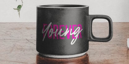 Fallyen Font Poster 4