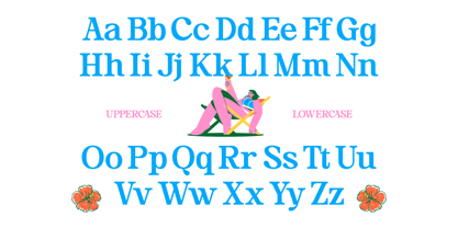 Island Reshort Font Poster 7