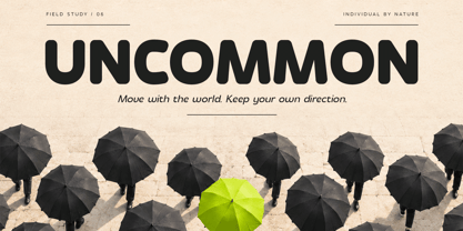 Flamor Soft VF Font Poster 13
