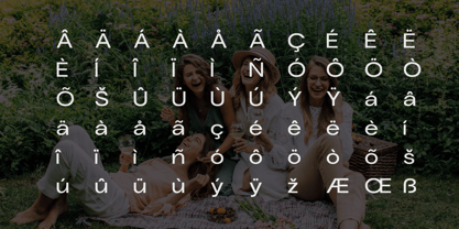 Aubrey Sans Font Poster 8