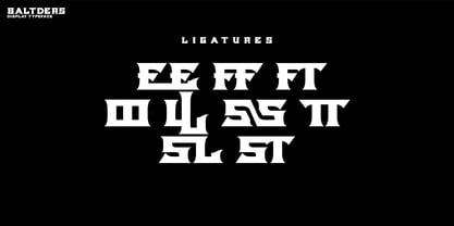 Baltders Font Poster 6