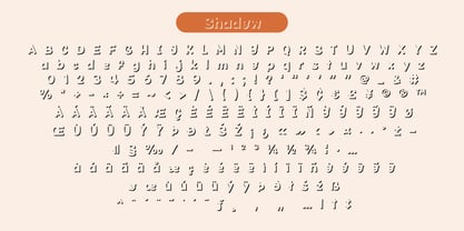Fox Kinda Font Poster 13