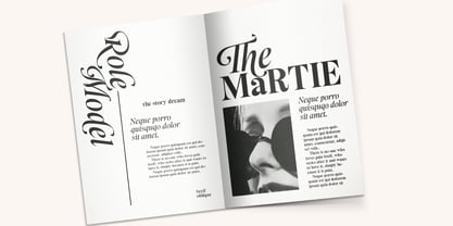 The Story Dream Font Poster 7