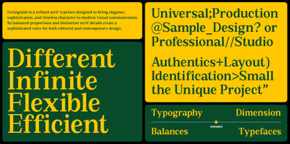 Extinguish Font Poster 10