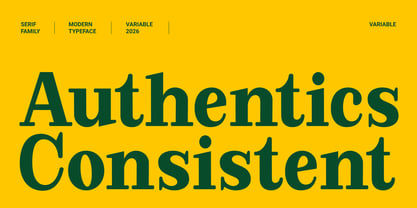 Extinguish Font Poster 3