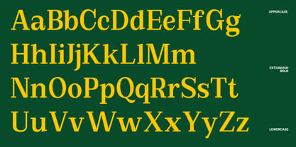 Extinguish Font Poster 4