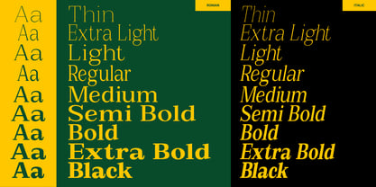 Extinguish Font Poster 12