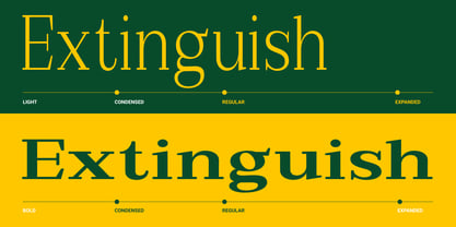 Extinguish Font Poster 13