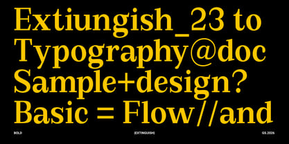 Extinguish Font Poster 9