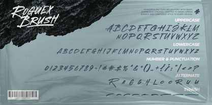 Roguex Brush Font Poster 10