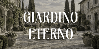Gottagon Font Poster 7