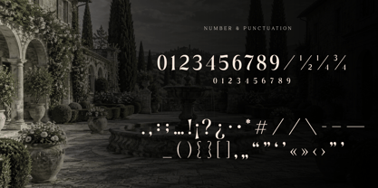 Gottagon Font Poster 4