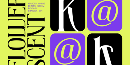 Creative Vision Font Poster 5