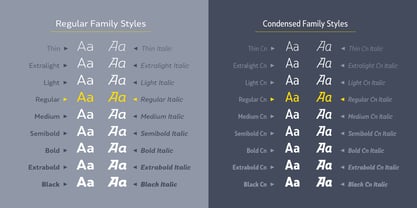 SkolaSans Font Poster 2