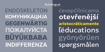 SkolaSans Font Poster 8