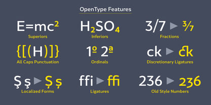 SkolaSans Font Poster 11