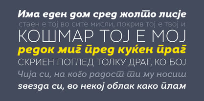 SkolaSans Font Poster 6