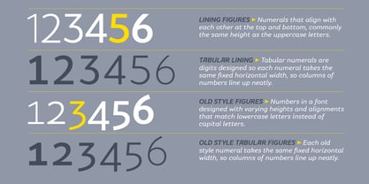 SkolaSans Font Poster 7